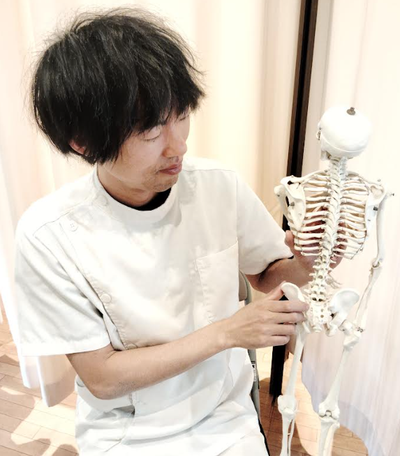 人体模型を使って体の説明をしている男性