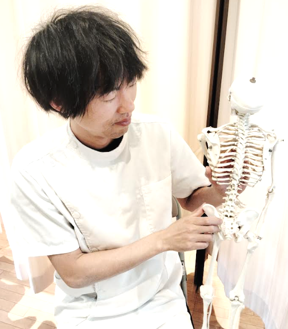 人体模型を使って体の説明をしている男性