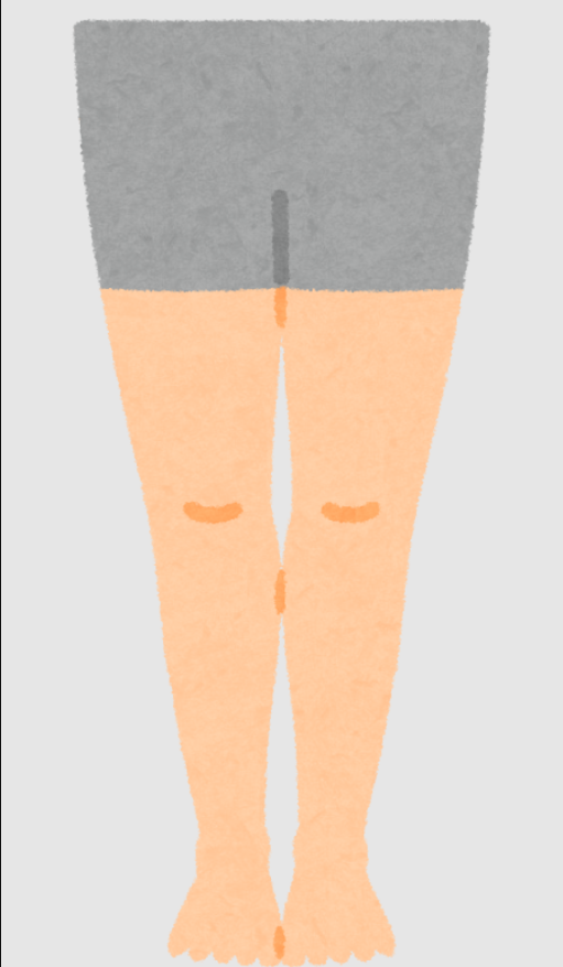正常な膝のイラスト
